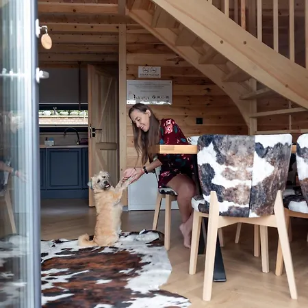 Ostoya Zawory -domki Premium ,strefa Relaksu, Basen Villa *