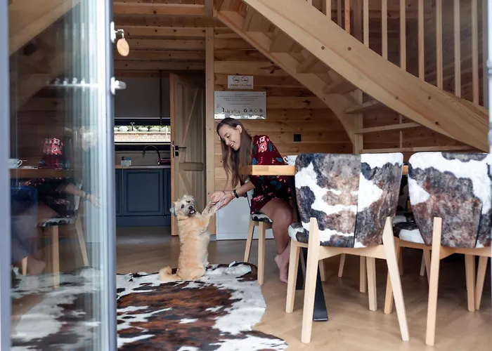 Ostoya Zawory -domki Premium ,strefa Relaksu, Basen Villa *